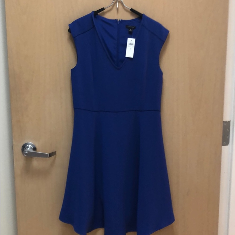 New Ann Taylor Dress